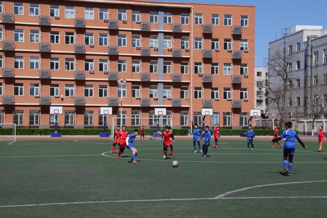 英超-B席破门哈兰德失点 曼城主场1-1埃弗顿